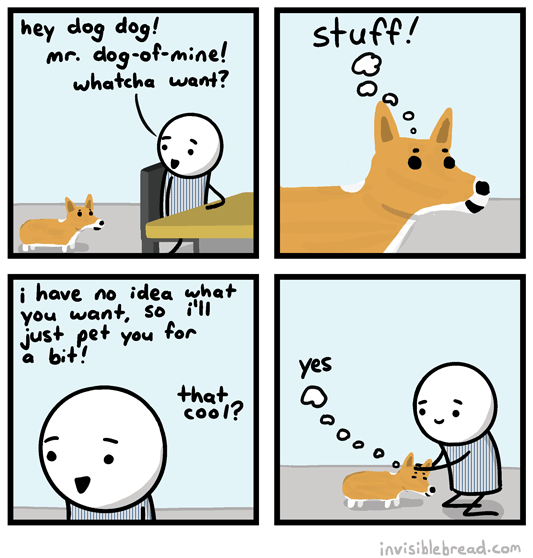 Dog Stuff